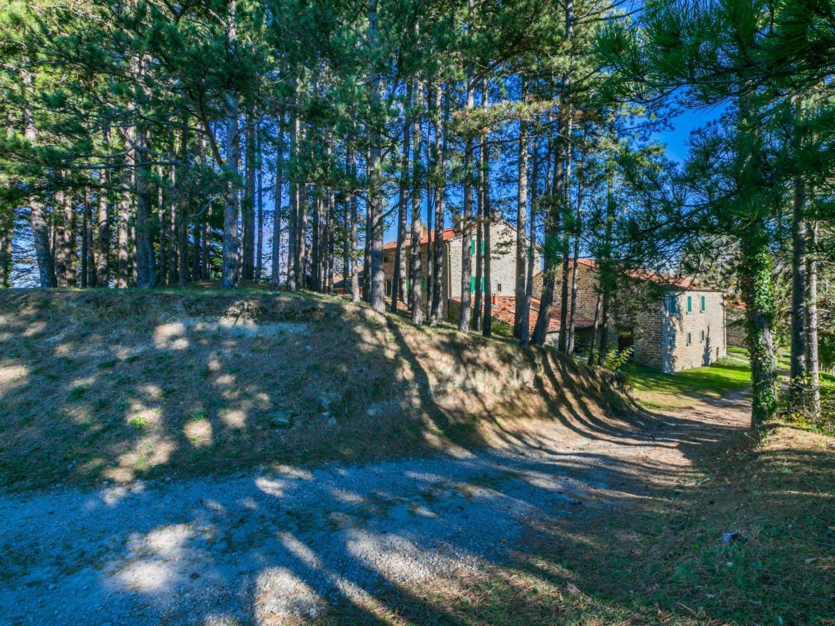 Holiday Home Al Volo Del Nibbio By Interhome Marradi Exteriér fotografie